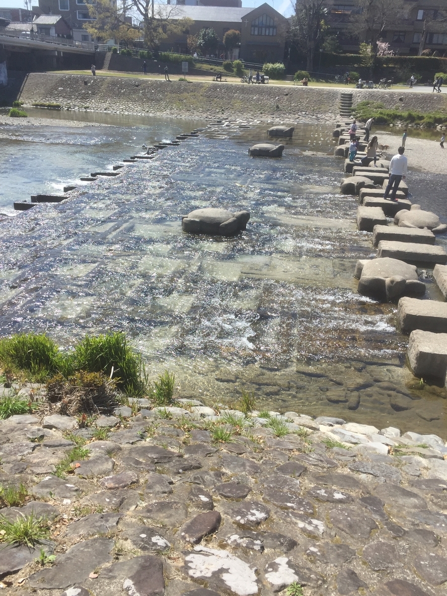 f:id:abireharu:20190617233517j:plain